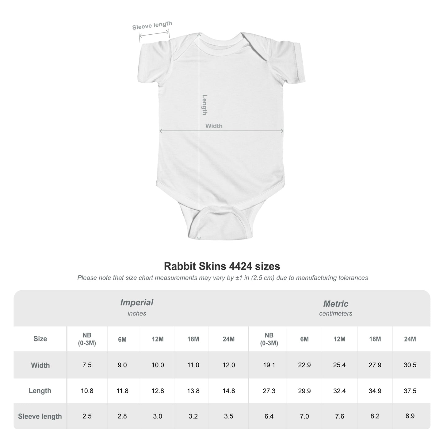 Baby Bodysuit - "The Princess Has Arrived" Newborn Onesie